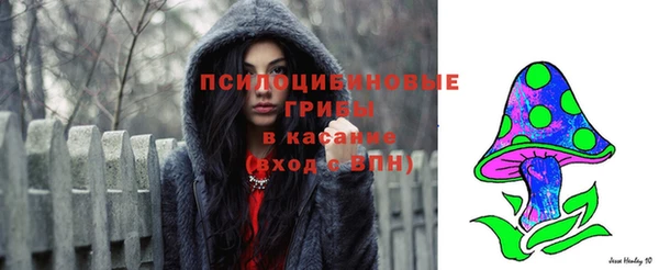 тгк Магас