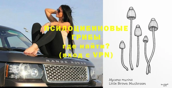 тгк Магас