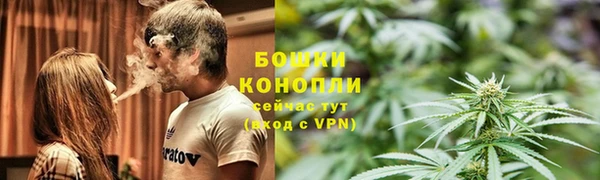 тгк Магас