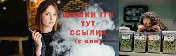 тгк Магас