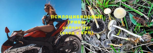 тгк Магас