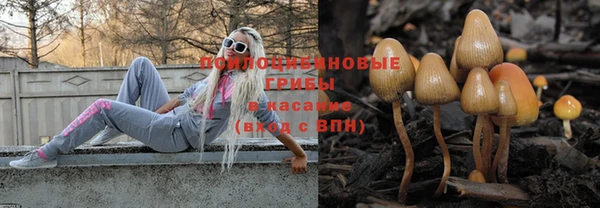 прущие крисы Магадан