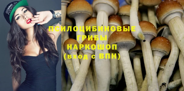 тгк Магас